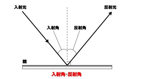 反射作用